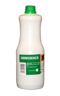 giardia ammoniaca