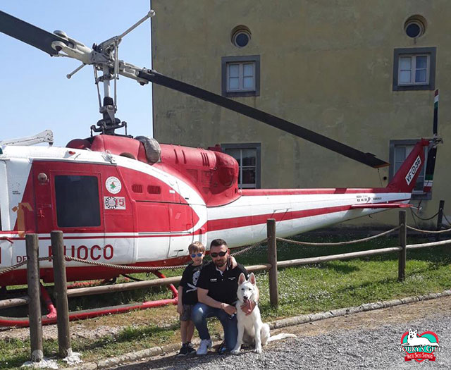django-youky's-gift-pastore-svizzero-e-l'elicottero