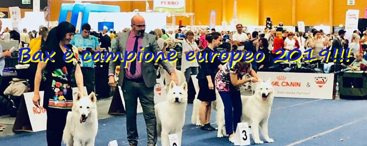 bax pastore svizzero campione europeo 2019