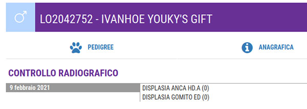 Ivanhoe Youky's Gift lastre ufficiali