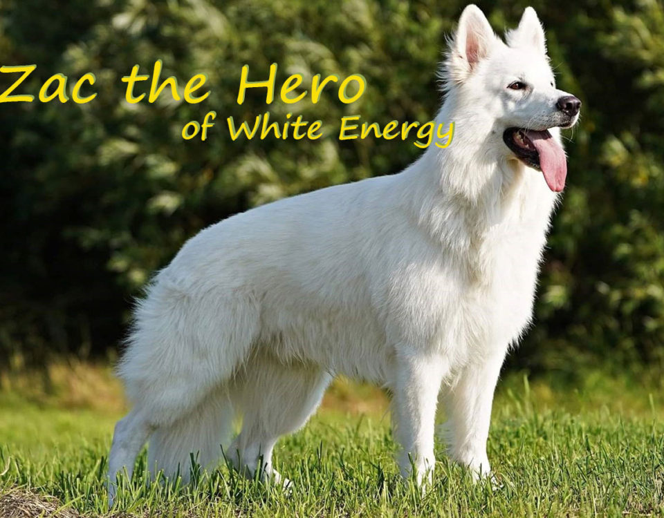 Zac The Hero of White Energy